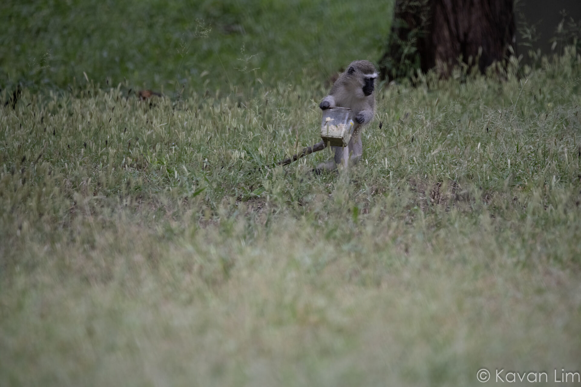 Southern Africa Batch 1 (77 of 109)