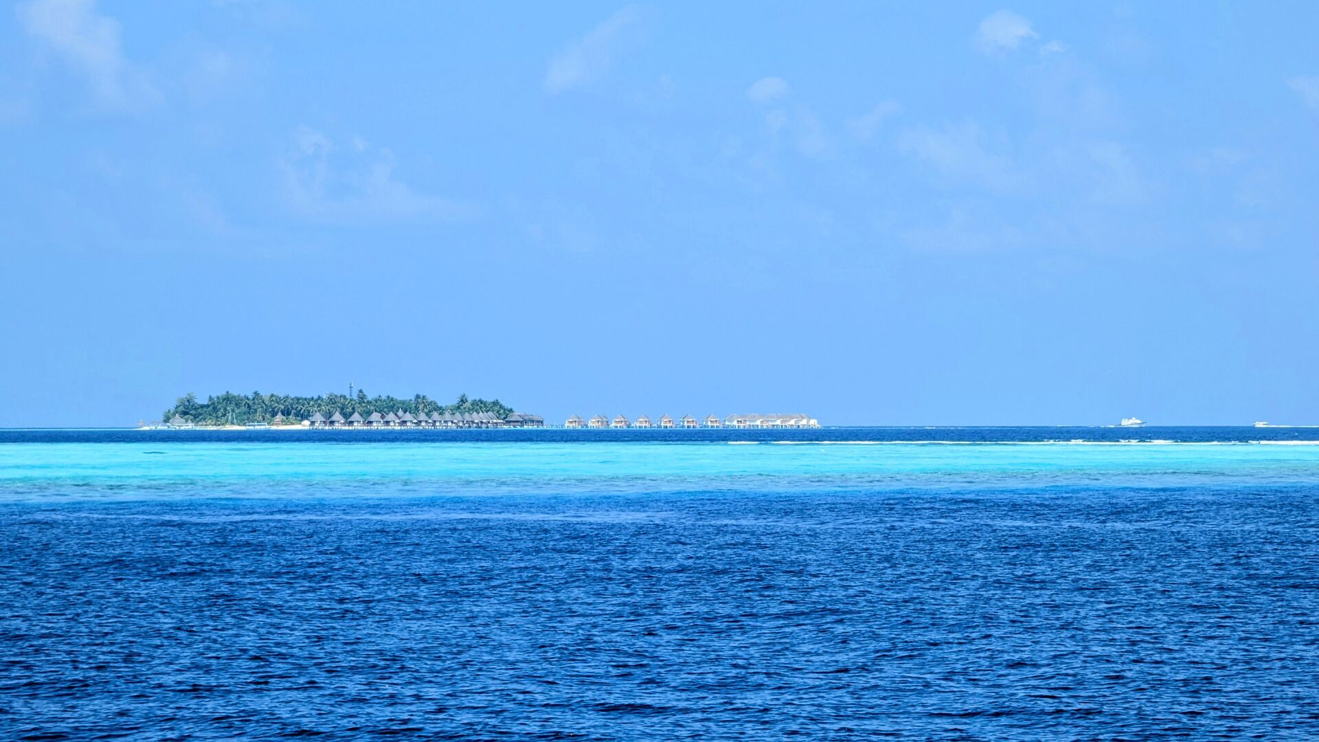 PXL_20241230_083054457~2