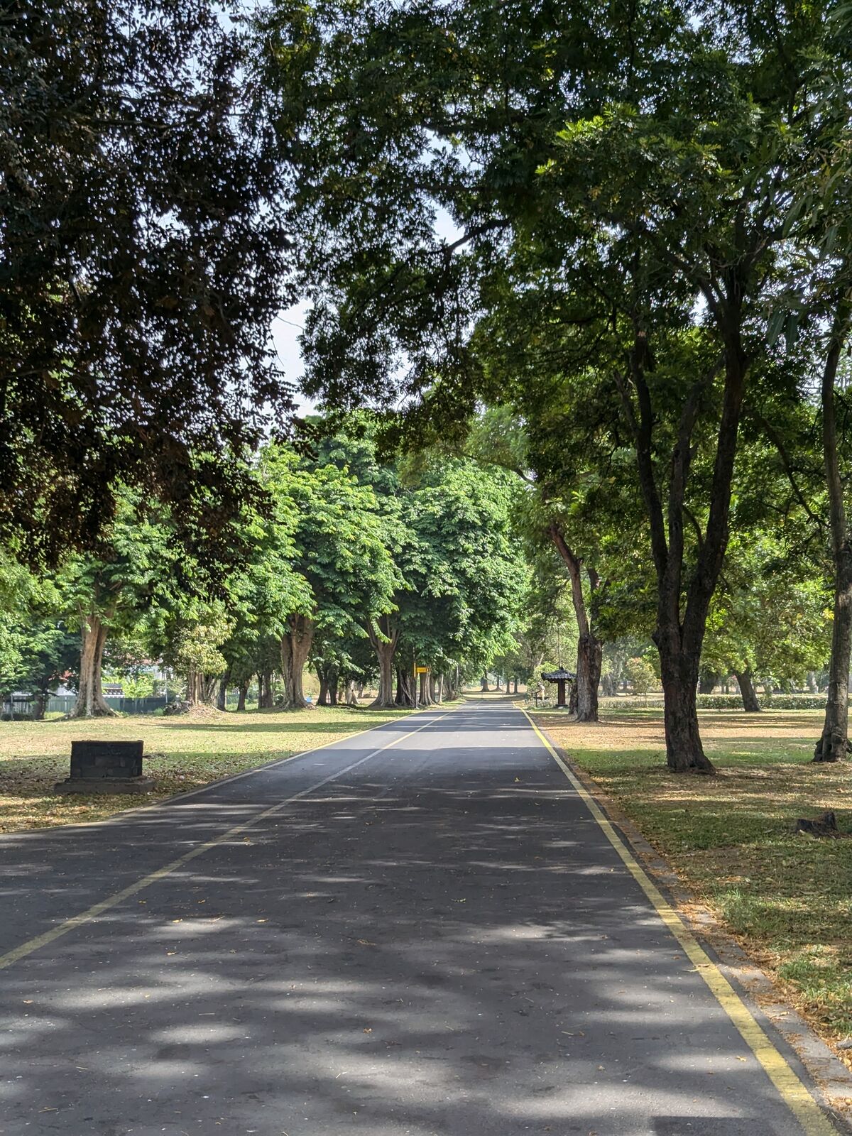 PXL_20241014_014527023