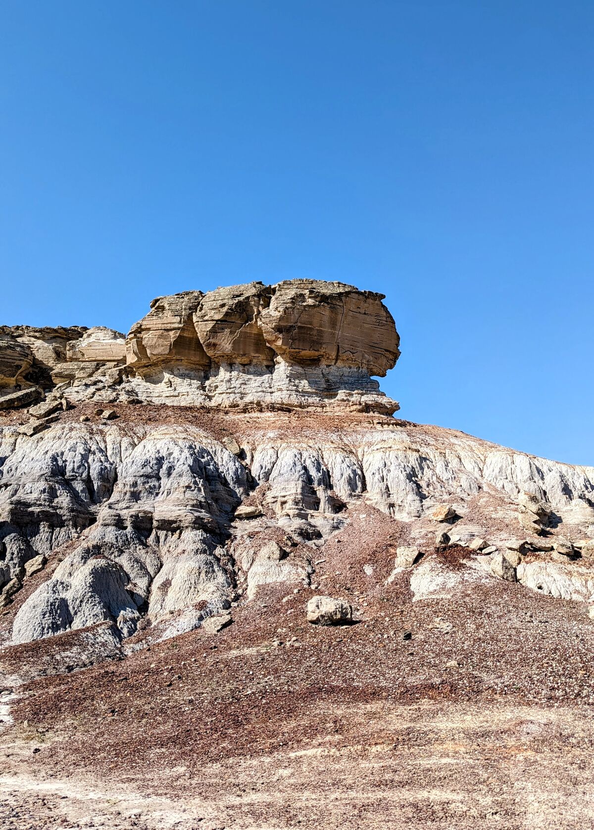 PXL_20230814_053356835~2