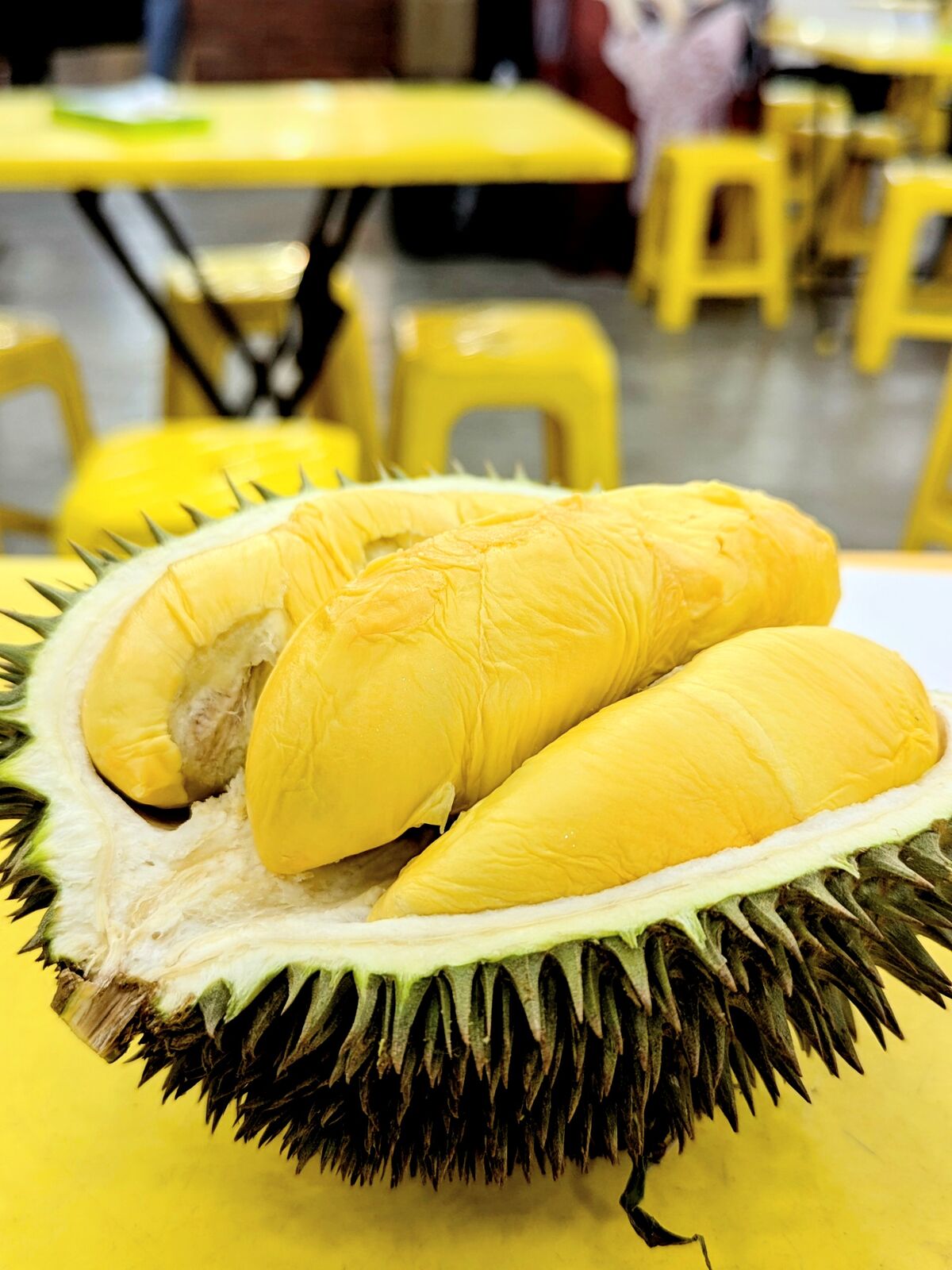 PXL_20240808_122744781.PORTRAIT.ORIGINAL~2