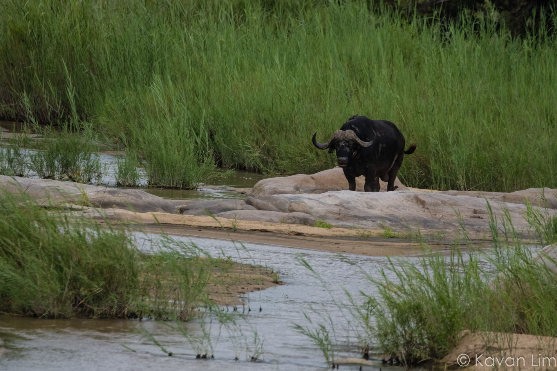 Southern Africa Batch 1 (58 of 109) (1)