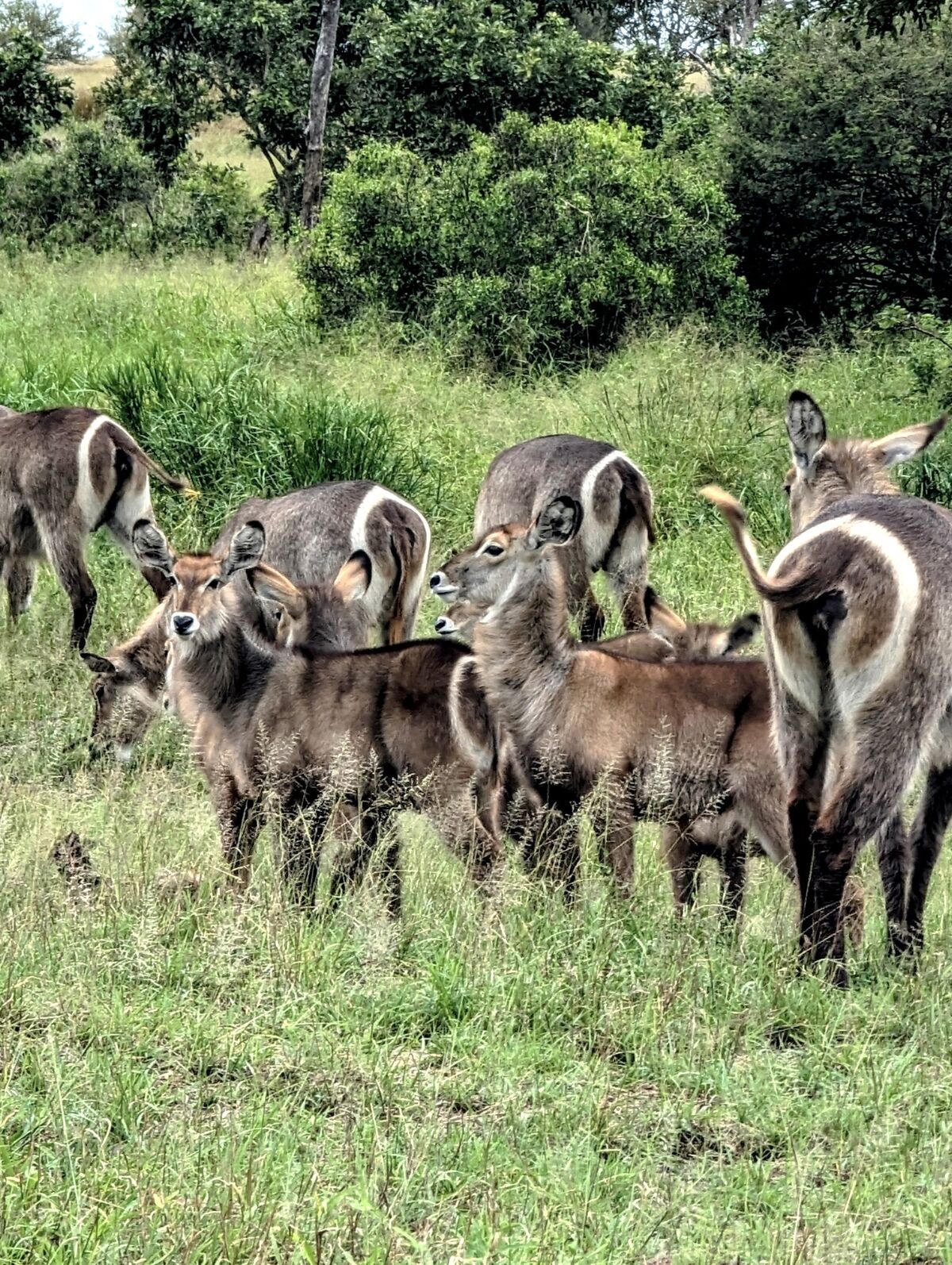 PXL_20240408_085522528~2