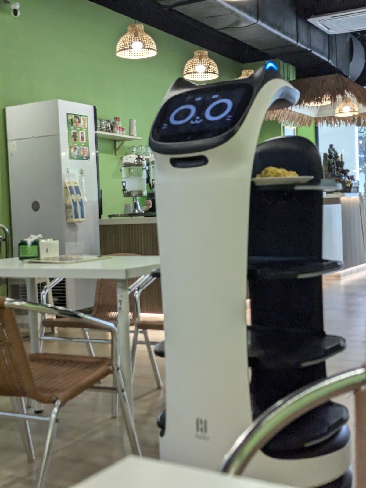 PXL_20241115_043729037