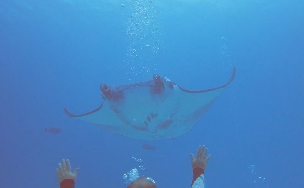 スクリーンショット 2025-01-26 141322