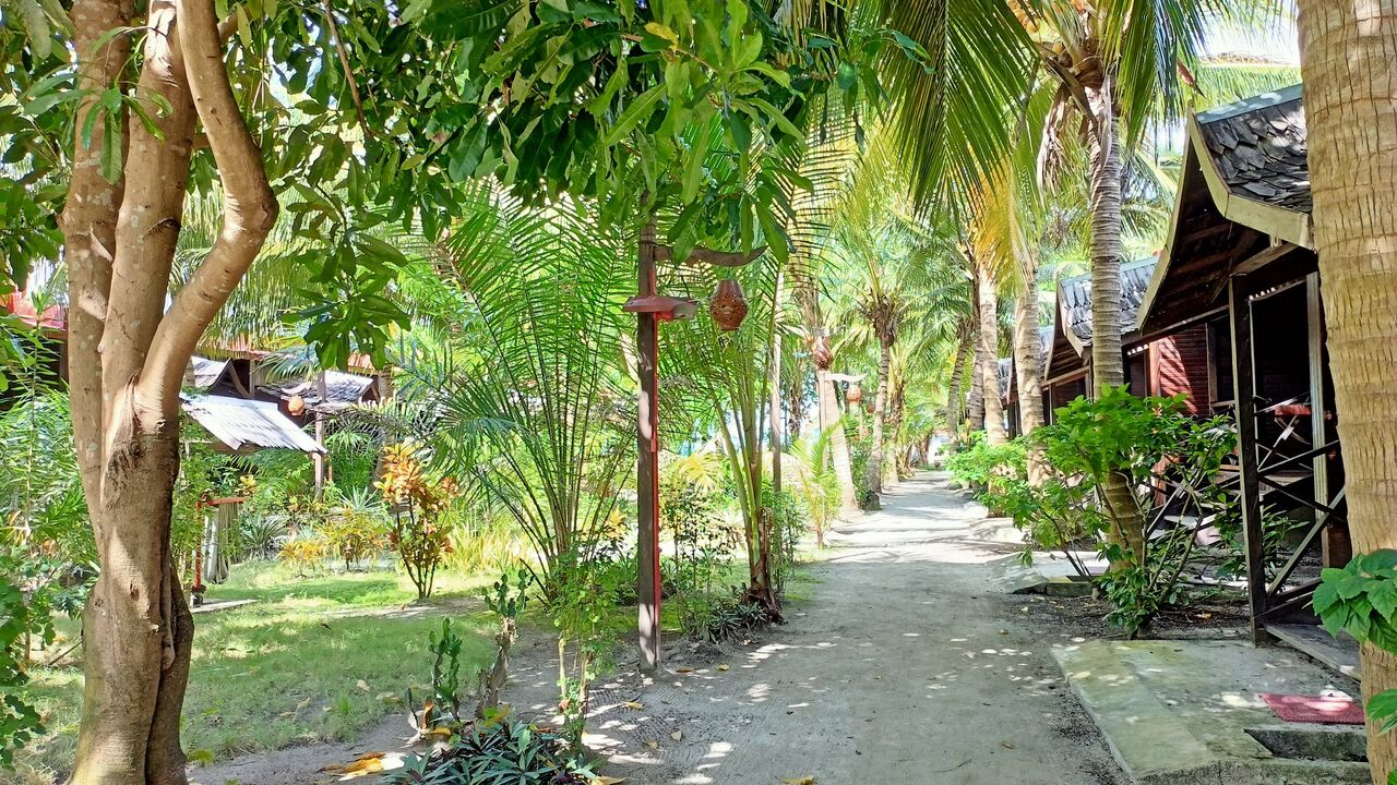 IMG20201227135443_00