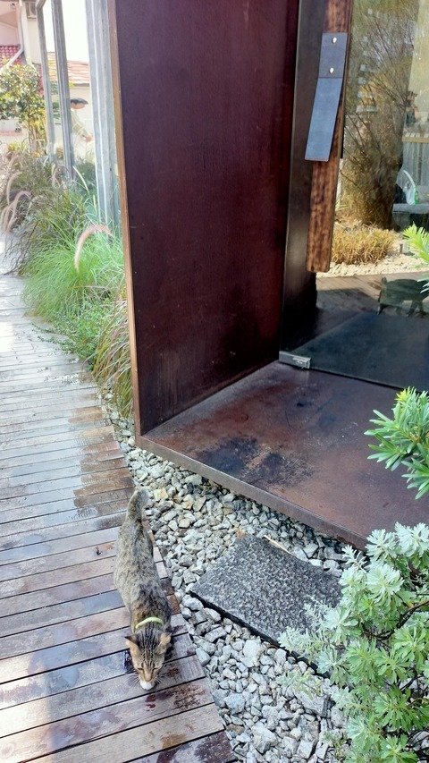 IMG20210310112116_00