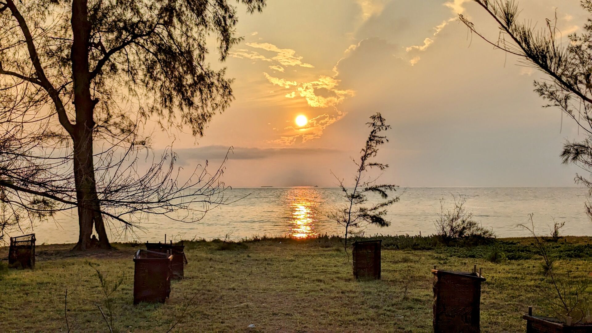 PXL_20230616_231739786~2