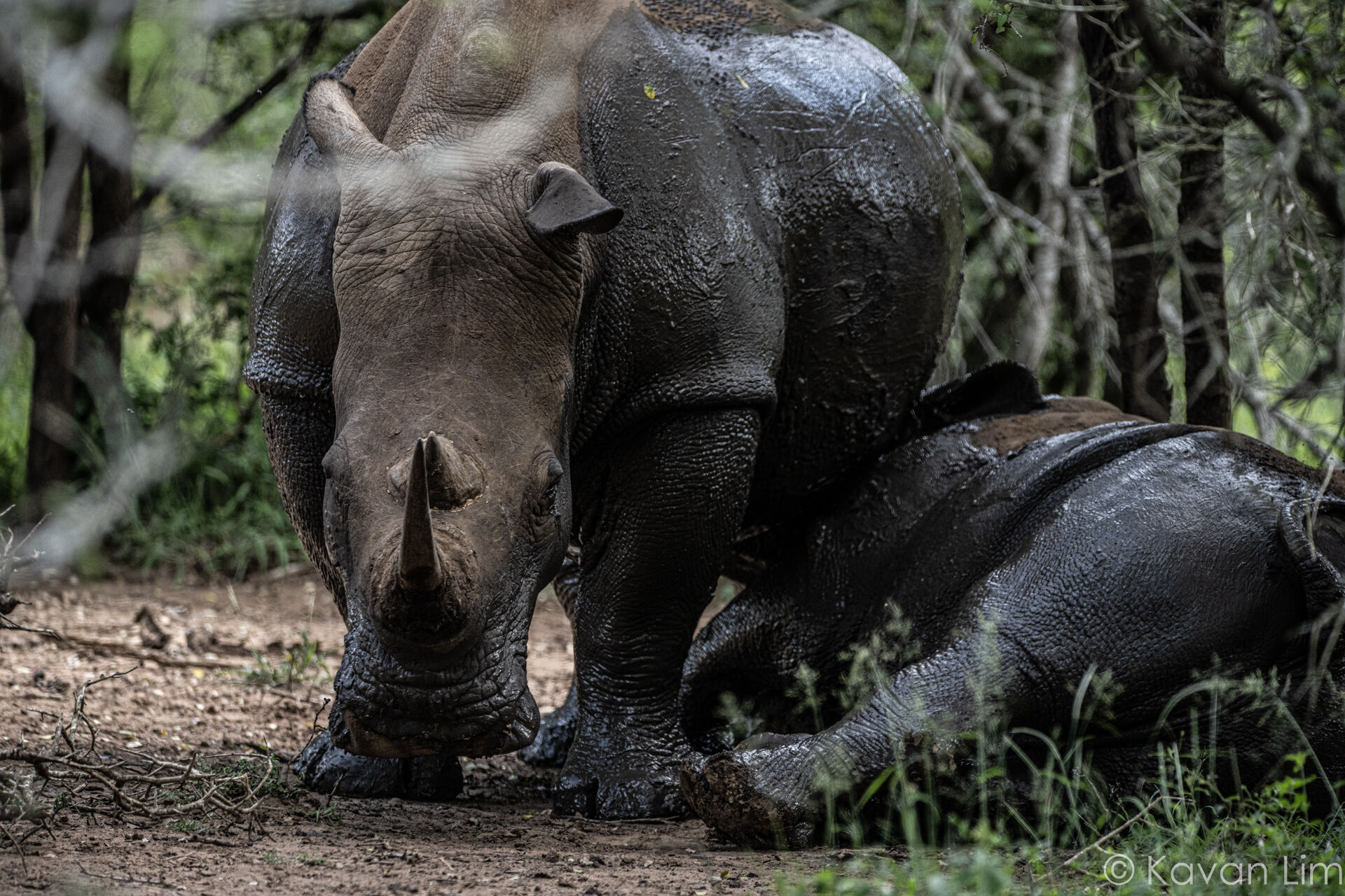 Southern Africa Batch 1 (19 of 109)