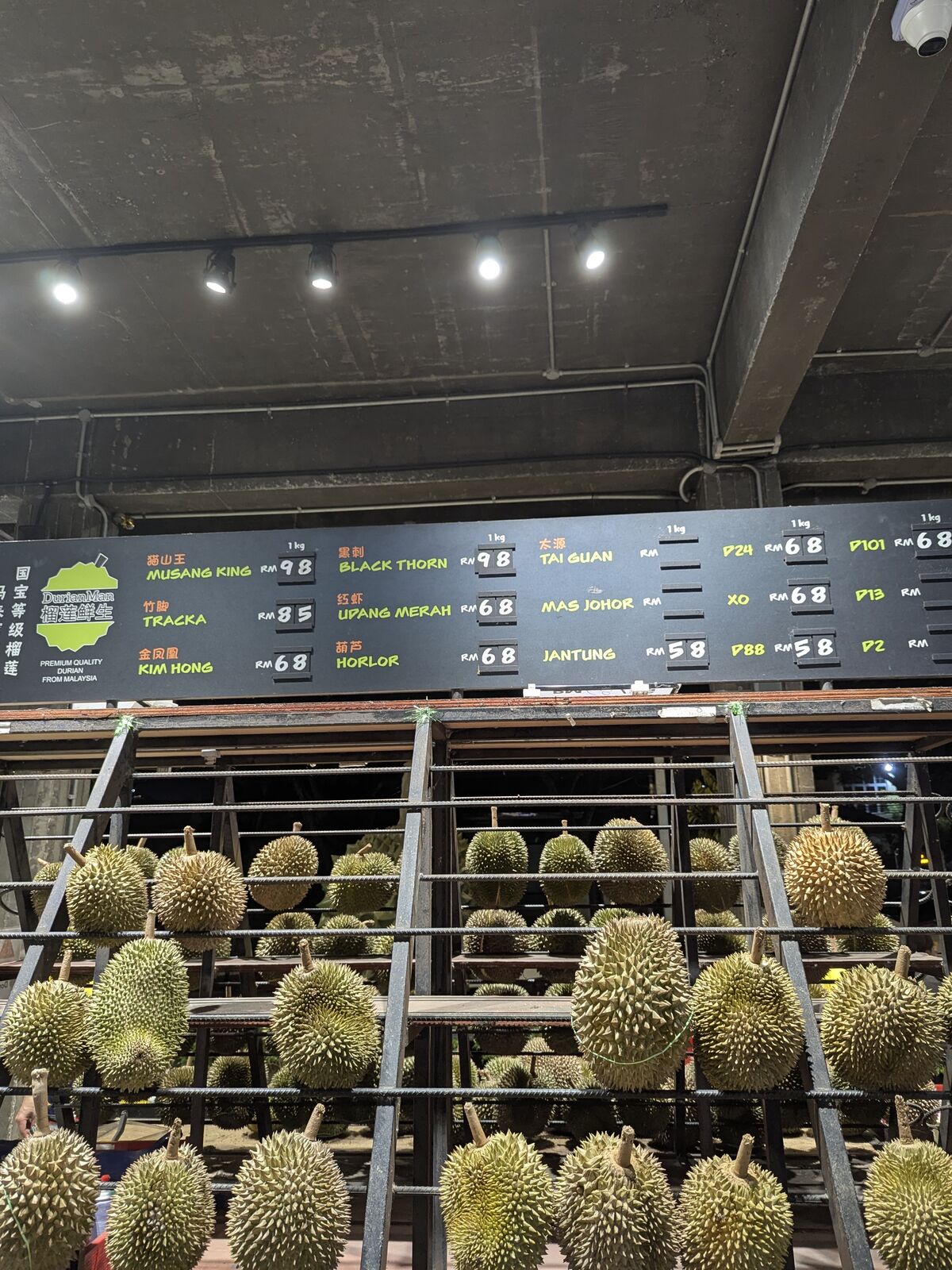 PXL_20250619_124006596