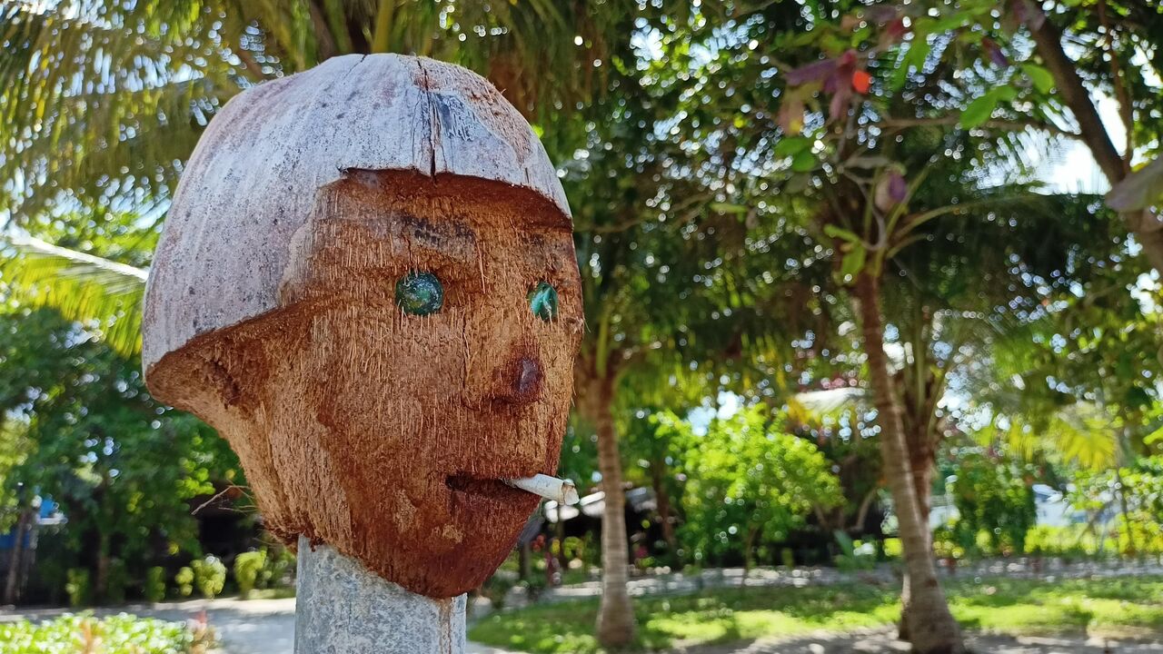 IMG20201227135613_00