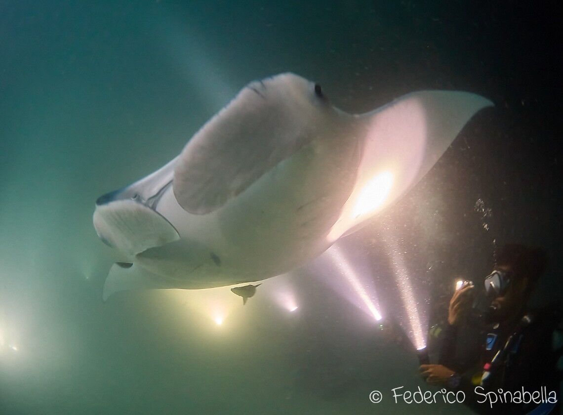 スクリーンショット 2025-01-26 142901