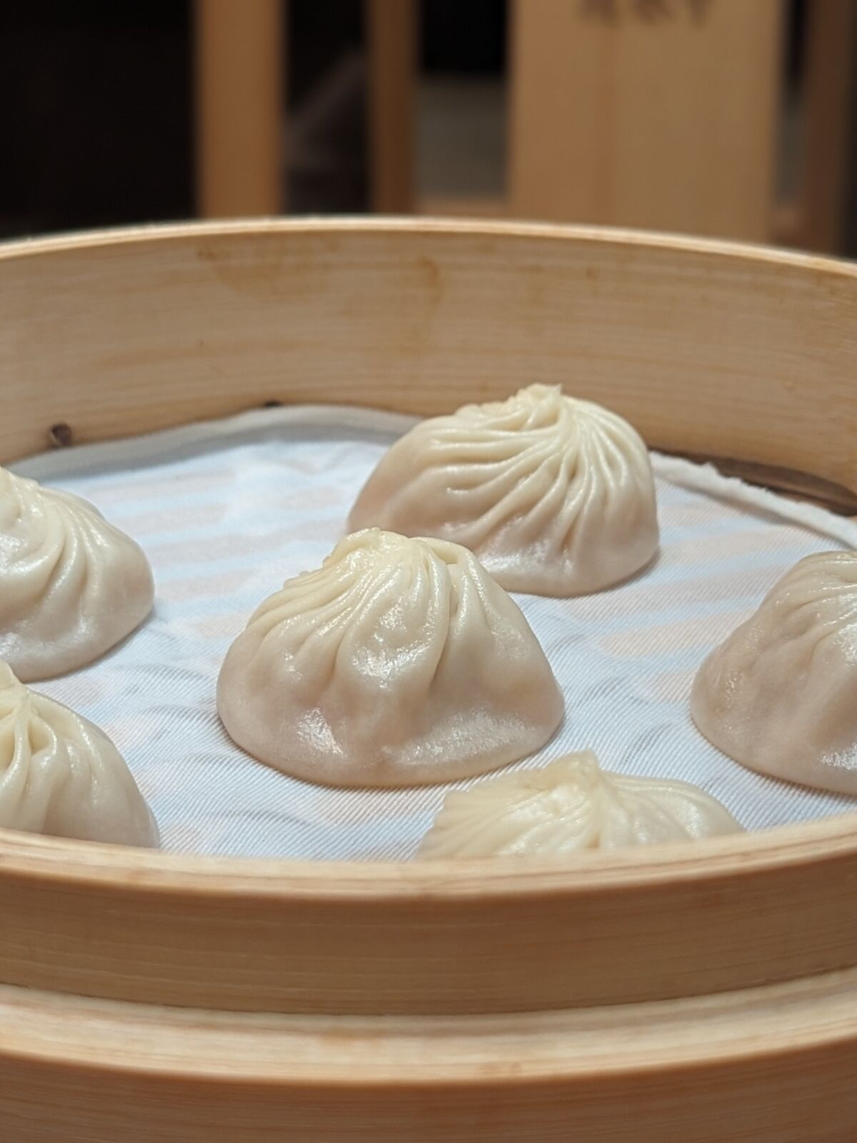 PXL_20240308_054150018.PORTRAIT