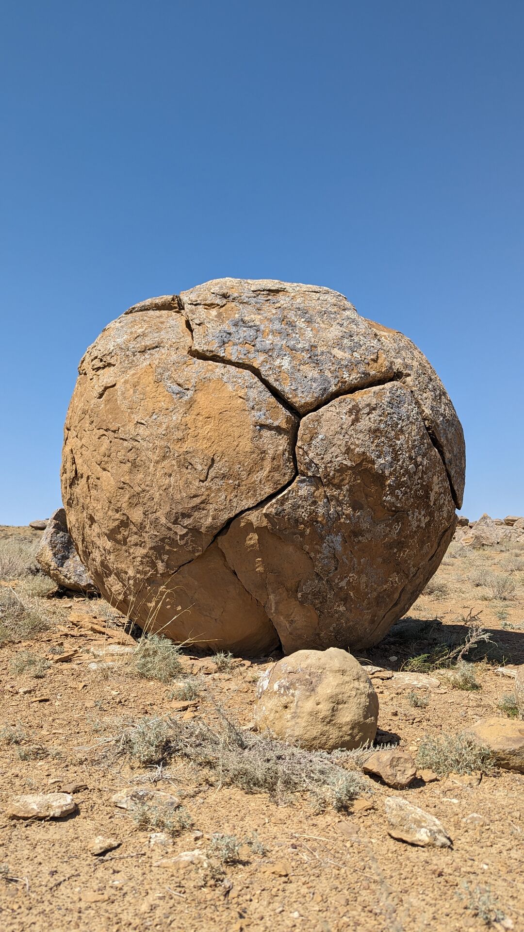 PXL_20230814_070538958