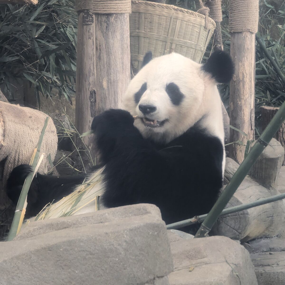 PXL_20250628_081436038