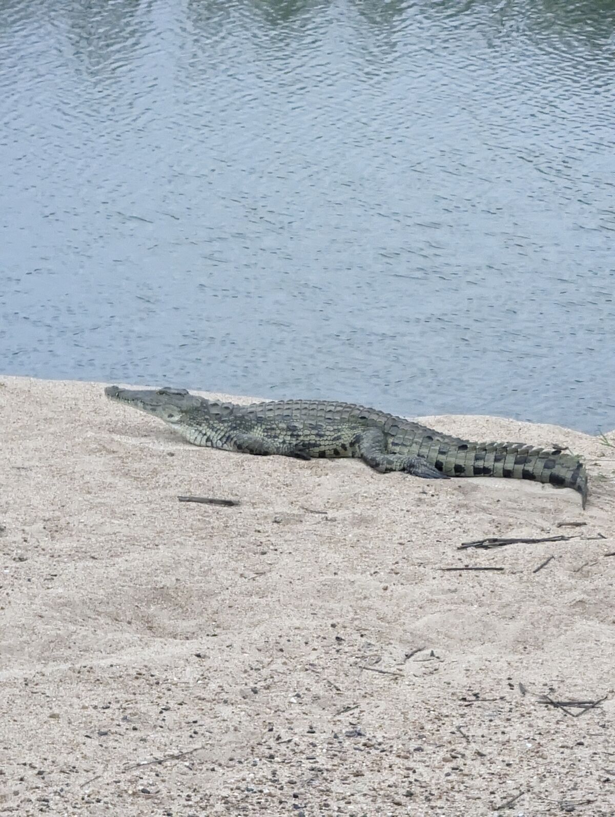 PXL_20240406_153413692