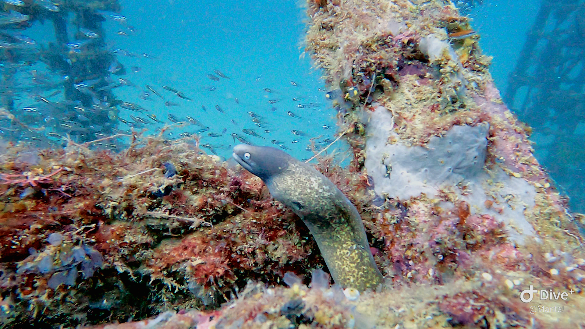 1673880366170123826969 (2023-01-17T13_34_28.354)