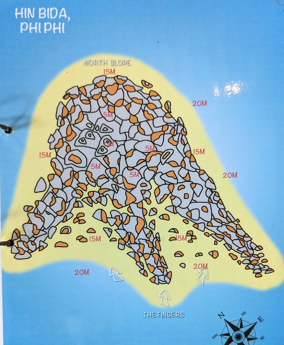 PXL_20240504_065859561