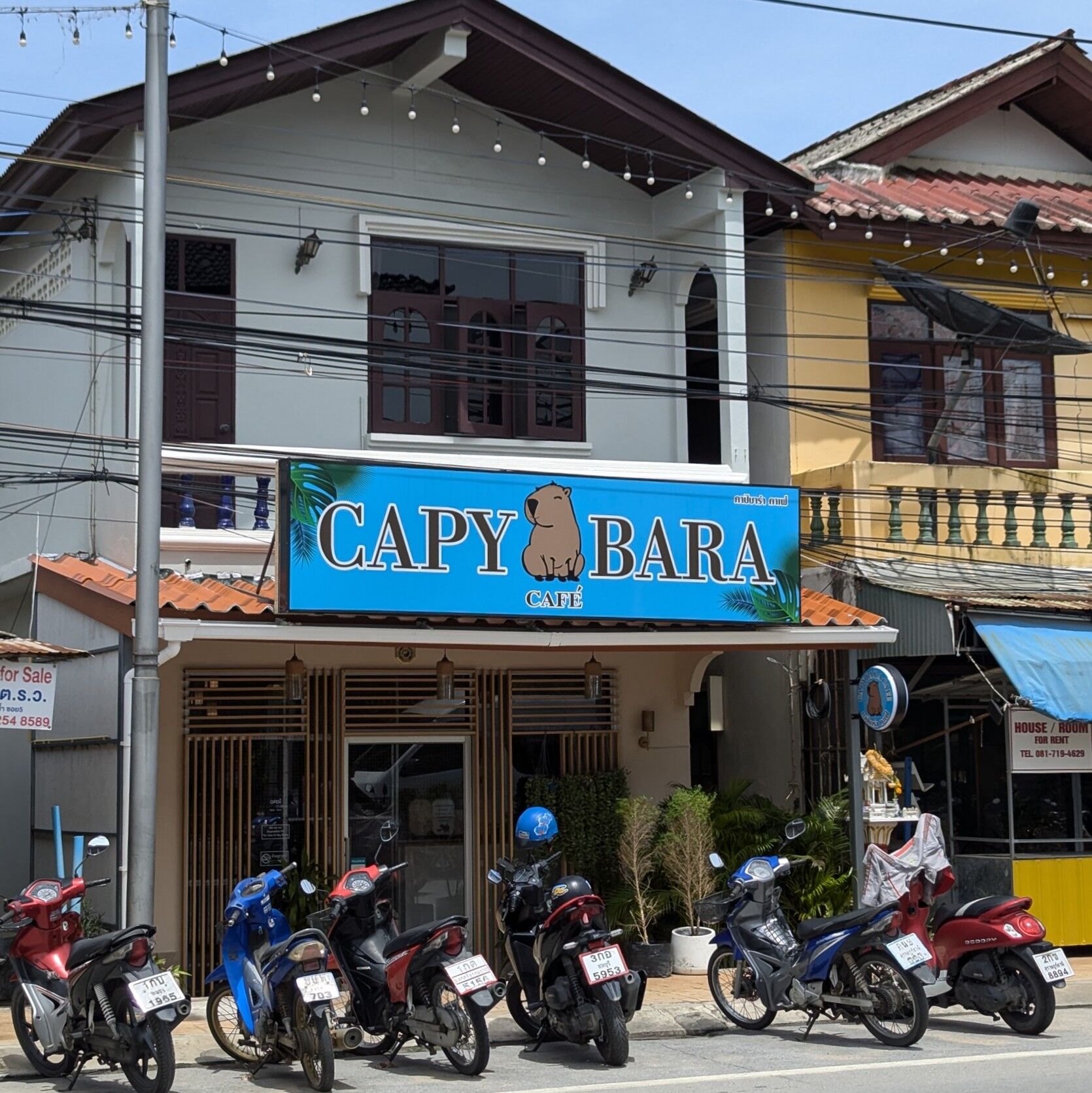 PXL_20240817_064822815~2