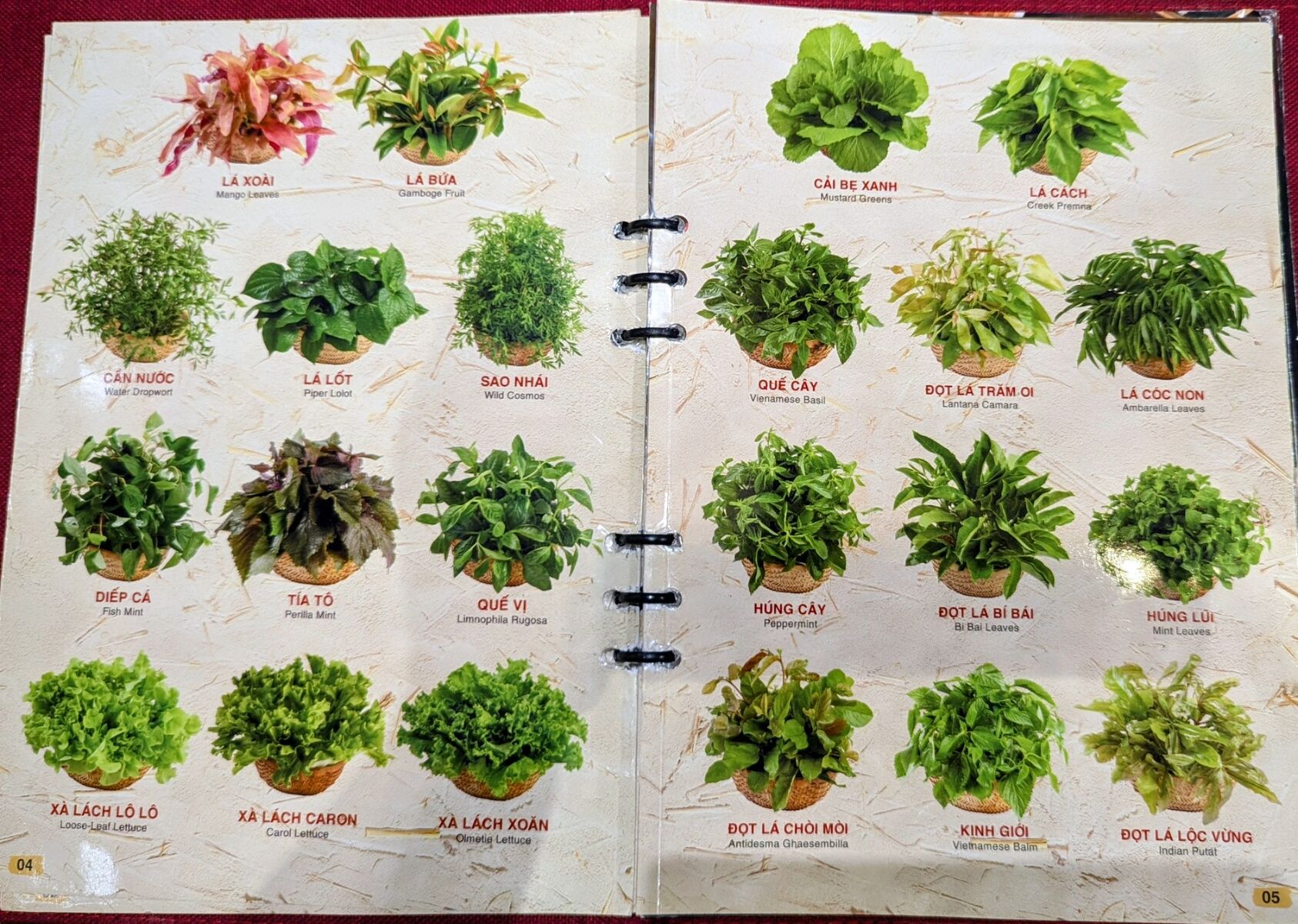 PXL_20251019_105949045~2