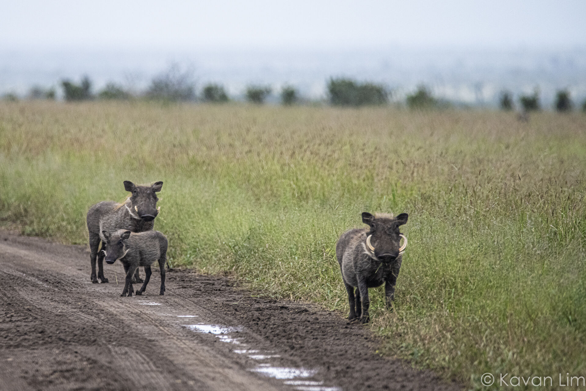 Southern Africa Batch 1 (90 of 109)