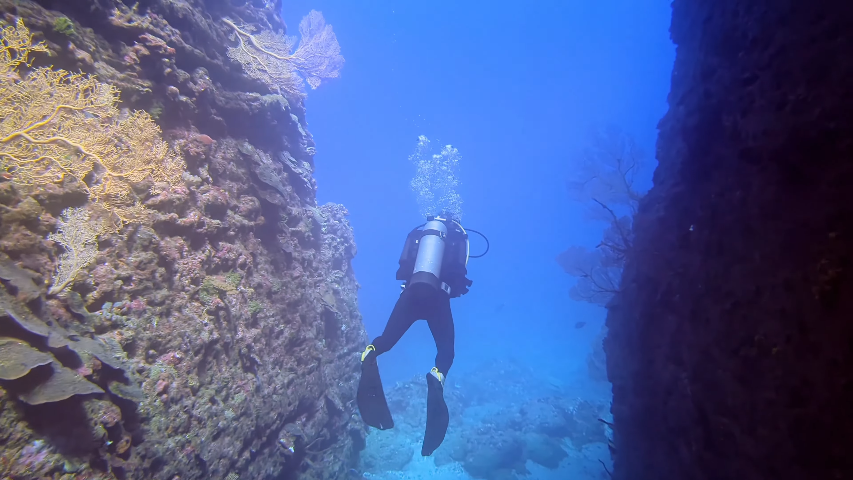 PfDt - Diving in Mauritius [_BqRDwFpEn8 - 853x480 - 0m52s]