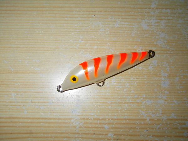 IMGP0031