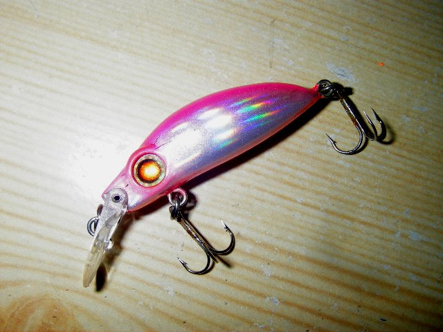 ザウルス ピグラ ゴリ巻きスタイル ザウルス ピグラ ゴリ巻きスタイル