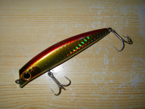 IMGP0040