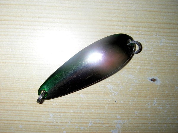 IMGP0210
