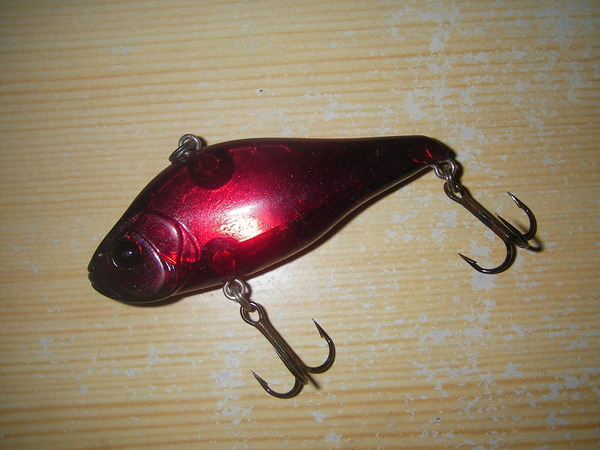 IMGP0005