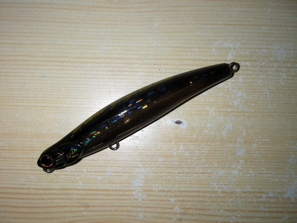 IMGP0180