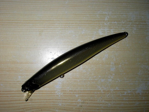IMGP0037