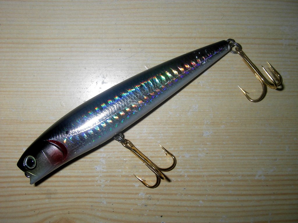 心に強く訴えるソルト ペンシル すべての魚の画像 心に強く訴えるソルト ペンシル すべての魚の画像