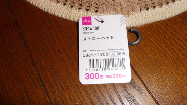 IMGP8378