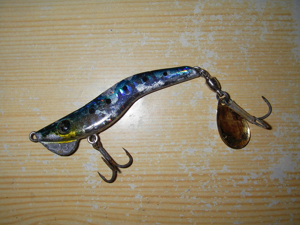 IMGP0050