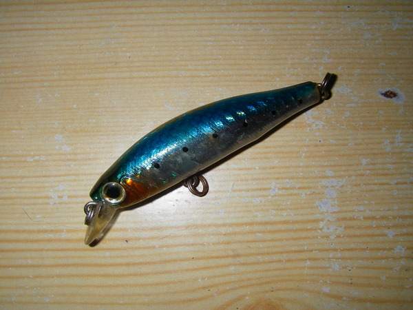 IMGP0058