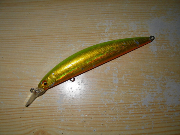 IMGP0045