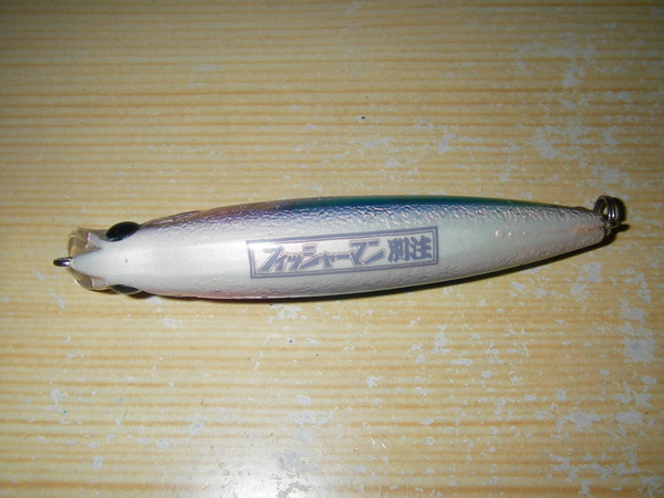 IMGP0055