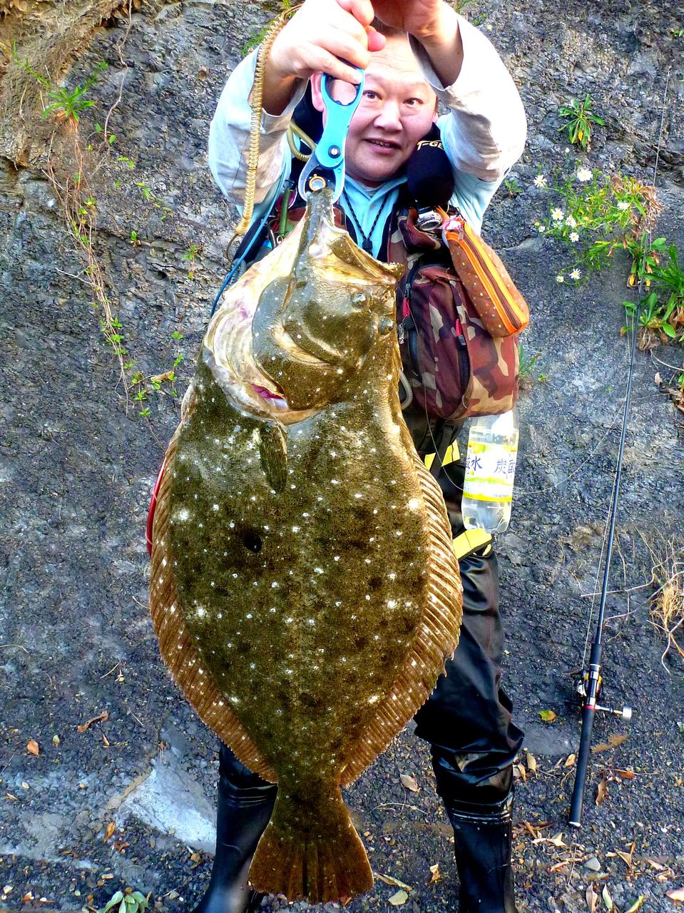 ヒラメの記録魚 ゴリ巻きスタイル
