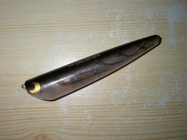 IMGP0033