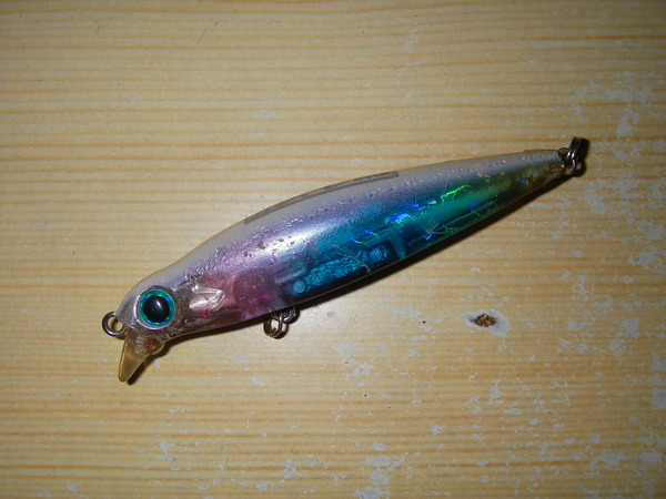 IMGP0053