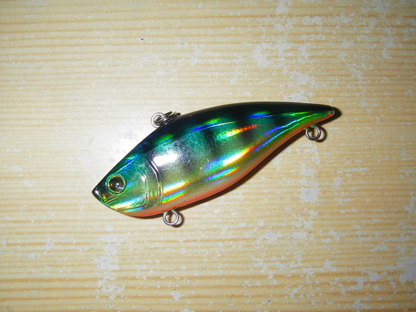IMGP0037