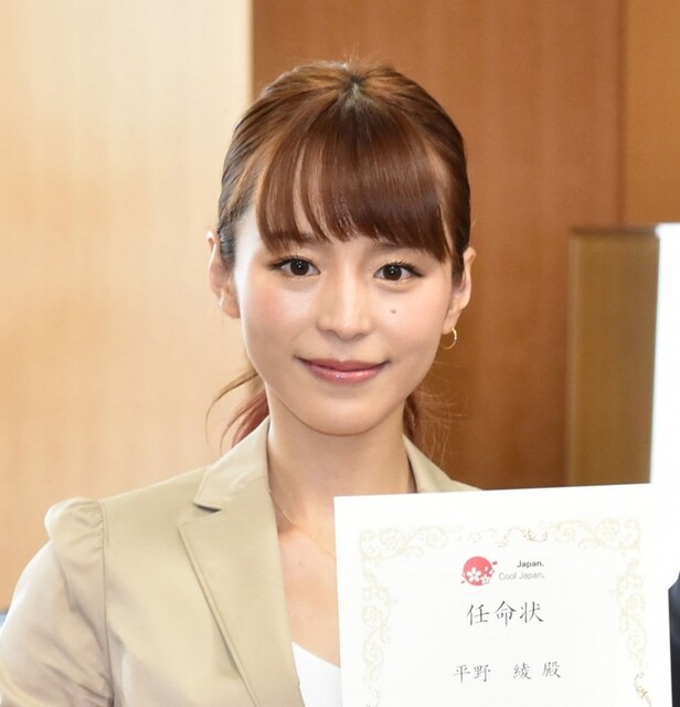 平野綾　⇐この声優に対するマジで正直なイメージ