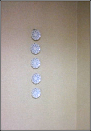 79466786.jpg