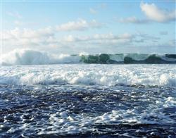 new waves