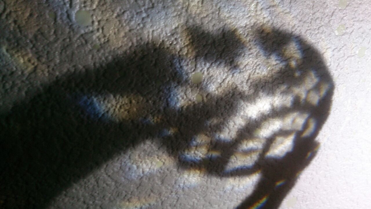 実美の綺麗人 若々しさと美しい女性を目指す 美容 健康 ライフスタイル