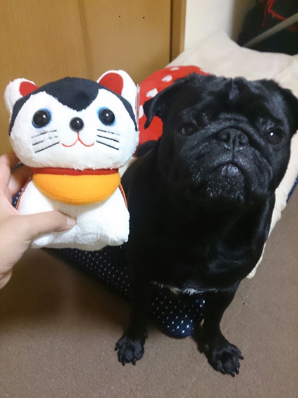 激似 江戸博物館 犬張り子のぬいぐるみ ゴロタン 激似 江戸博物館 犬張り子のぬいぐるみ ゴロタン