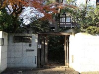 向井