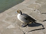 DSCN0167
